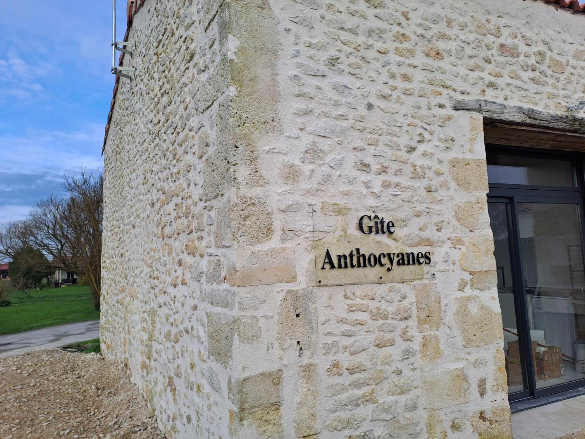 Chambres D'Hotes Chateau Pierre De Montignac Civrac-en-Médoc Kültér fotó