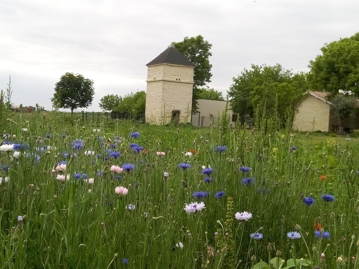 Chambres D'Hotes Chateau Pierre De Montignac Civrac-en-Médoc Kültér fotó